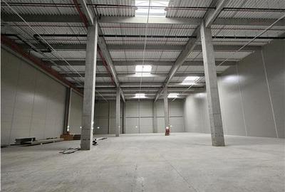 Spatiu Industrial - 4500 mp - Logistica - Productie - Depozitare - Distributie - 4