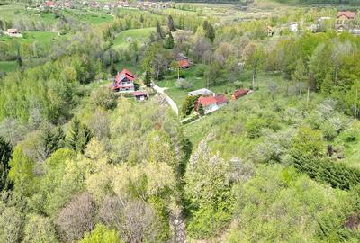 Teren intravilan Bran- Predelut - 21