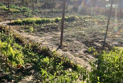 Casa individuala de caramida si vaiuga cu centrala pe gaz Parta - 18
