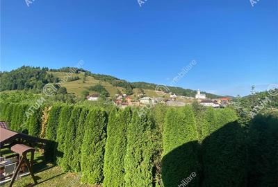 Pensiune cu 7 unitati de cazare in Apuseni judetul Alba - 23