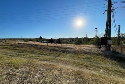 Teren intravilan de vanzare in localitatea Nufaru - 1