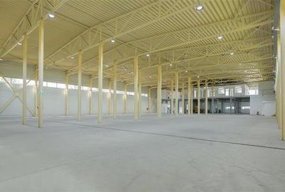 Inchiriere depozit/hala/spatiu industrial Otopeni - Centura - 5