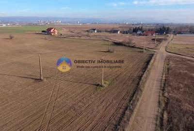 Teren investiție intravilan 3600 mp – Dumbrava Roșie - 3