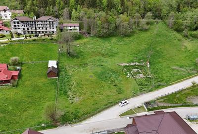Intravilan | 10.000 mp| Sătic-Rucăr | Acces facil | Potențial excelent - 6