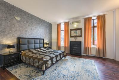 Business cu identitate: Apartament Unirii , demisol, parter si curte accesibila - 19
