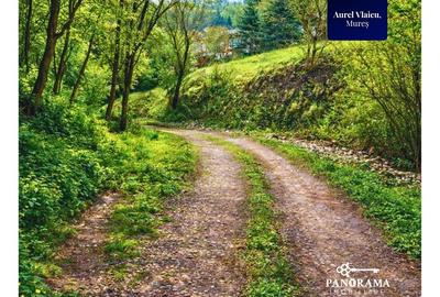 Teren 5.144 mp în Aurel Vlaicu, Sighișoara –excelent pt investiții - 9