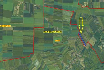 Teren extravilan de vanzare - 4