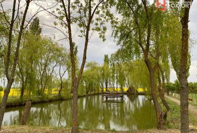 Vila Duplex cu lac si piscina Giarmata Vii  cu 5880 mp de teren - ID V5269 - 19