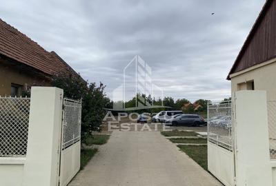 Casa în Dumbrăvița cu teren de 3039 mp și Front Stradal de 40 ml - 5