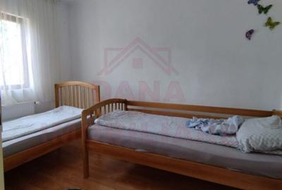 CASĂ DE VÂNZARE ÎN POUANA MĂRULUI,JUD. CARAȘ-SEVERIN - 10