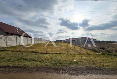 OX629 Teren in Dumbravita - utilitati complete, acces facil, aproape de centura - 4