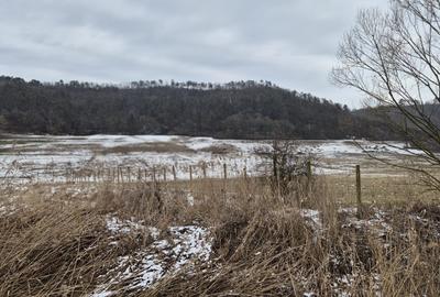 De vanzare 1.7ha teren-6 euro/mp - 3