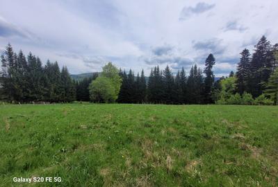 Teren intravilan de vanzare in Busteni - 2