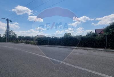 Teren intravilan 11.500 mp – Strada Cismari Vălenii de Munte - 4