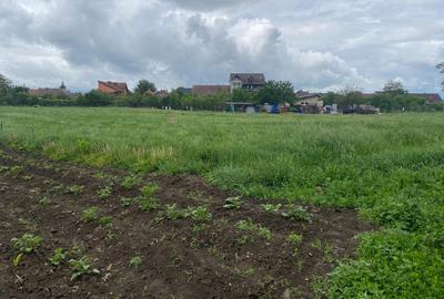 Teren intravilan in mun Sibiu, 500 mp, pretabil constructie casa individuala. - 2
