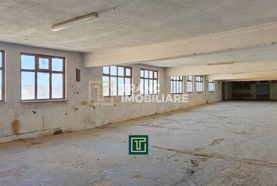 Proprietate multifunctionala - teren generos, cladire si hala in Lugoj - 20