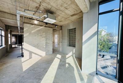 Vilă Urbană Reprezentativă, 1000 mp, garaj, lift, rooftop - 8