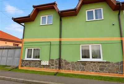 Nivel in casa cu 2 apartamente,145 mp utili+ teren 338mp, Gheorghe Doja - 6