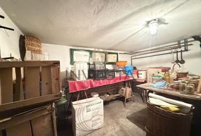 Casa spatioasa de vanzare cu front 27 ml in zona Andrei Muresanu - 17