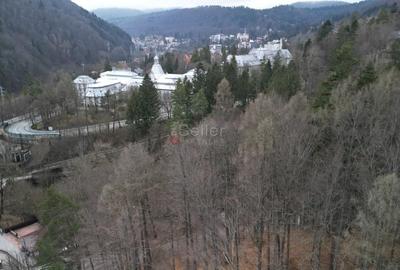 Teren in vecinatatea Castelului Peles - SINAIA - 16