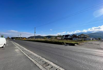 Teren DN73 Rasnov 1441mp! - 1