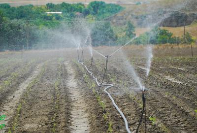 🌱 FERMĂ AGRICOLĂ MODERNĂ, COMPLET ECHIPATĂ ȘI AUTOMATIZATĂ – DE VÂNZARE - 4