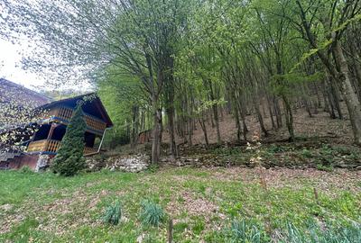 Cabana 5 camere, 75 mp| teren 900 mp| zona Iezer Ighiel - 10