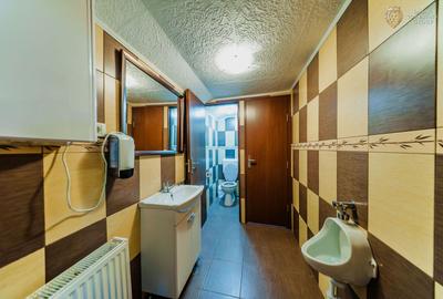Spatiu comercial de inchiriat Aradul Nou - 19