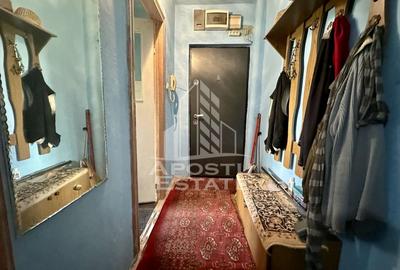 Apartament cu 2 camere de vanzare, etaj 2, zona Dambovita, Timisoara - 5