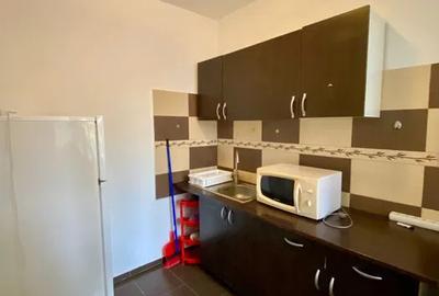 Apartament de 2 camere, 48 mp, recent recondiționat, utilat, zona Domenii - 5