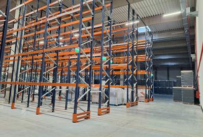 Depozit Centru Logistic de inchiriat Giarmata Timis 5000 M2 cu sau fara rafturi - 3