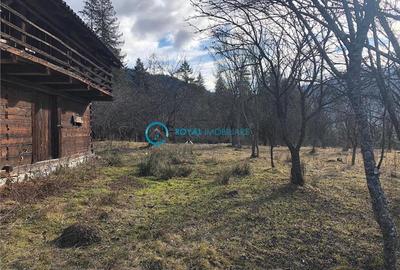 Royal Imobiliare-Vanzare Teren Zona Voineasa - 2