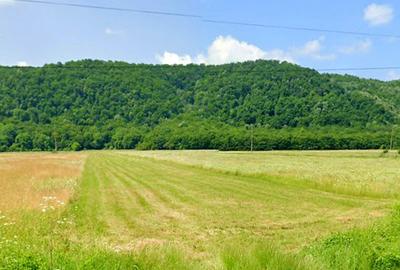 Vanzare teren intravilan 3000 mp, deschidere 28 m cu utilități Măgureni, Prahova - 1