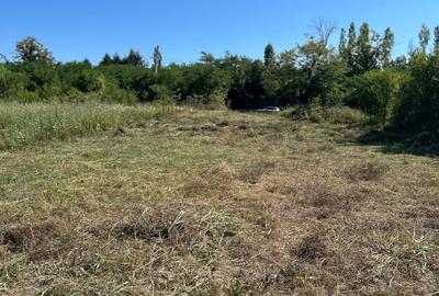 Teren cu deschidere la lac strada Orhideelor- conectare imediata la curent - 11