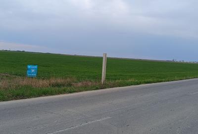 Teren extravilan 5 hectare ( zonă industrială ) Șag - 13