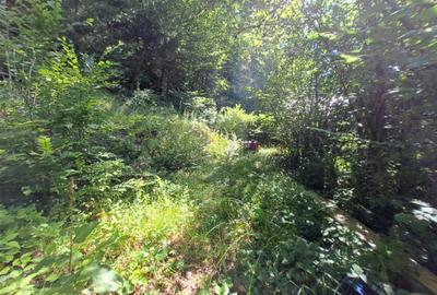 RECO Teren intravilan  Boga - 1