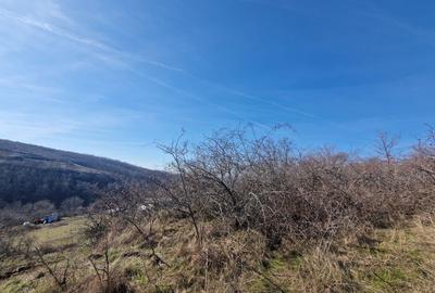 Teren agricol extravilan de 23400 mp, în Cuvin