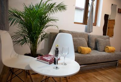Unirii Mitropolie Studio Premium  In Bloc tip Vila cu Centrala Proprie - 40