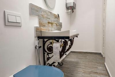 POOPRIETAR Garsoniera Cismigiu - 3