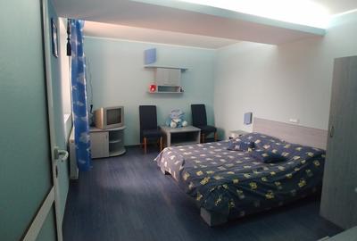 Vila/Pensiune,casa administrator,teren plat 2000Mp - 8