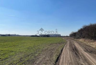 Teren intravilan – servicii și industrie 9.850 mp, Otopeni | investitie - 3