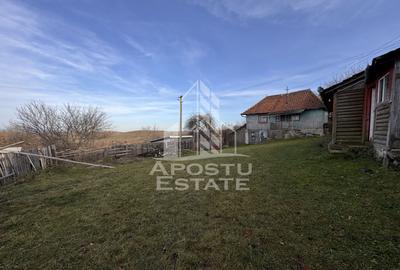 Casa batraneasca la munte, in Hunedoara, Tinutul Padurenilor, Cerbal - 7