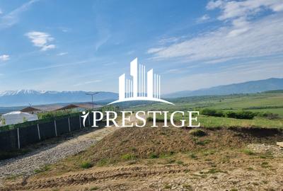 TEREN  EXTRAVILAN 2000 MP ÎN DAIA - BAVARIA | DEALUL 2 | DOAR 15€/MP - 21