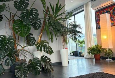 🚨 COMISION 0%! Penthouse cu 3 camere în Borhanci, 120 mp, terasă 45 mp,2 parcări - 2