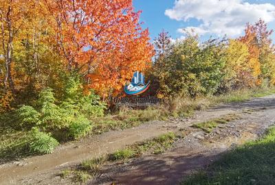 Teren 900 mp Strada Ciocarliei CIRITEI, Piatra Neamt - 1