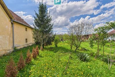 Casă individuală la Beregsău Mare, 2890 mp teren - 28