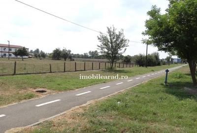 Teren 18.400 mp cu 4 hale P+E pe Artera principala vizavi de Metro-Momax - 11