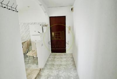 Apartament 2 camere de inchiriat Terezian - 7
