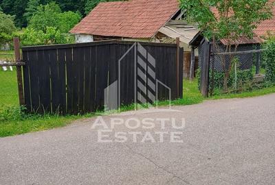Casa batraneasca de vanzare, 4 camere, in Hunedoara, sat Micanesti - 22