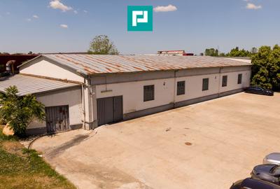 Hală producție parc Industrial UTA - 17